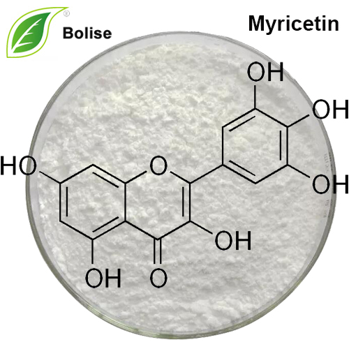 Myricetin