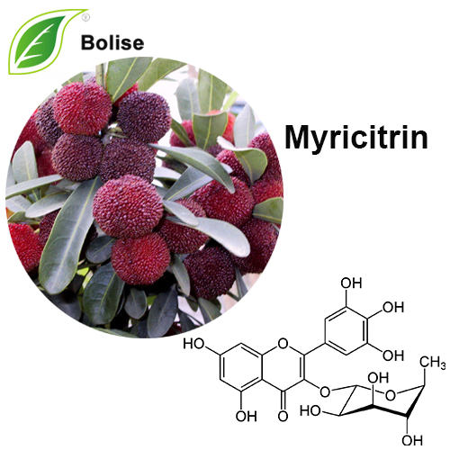 Myricitrin