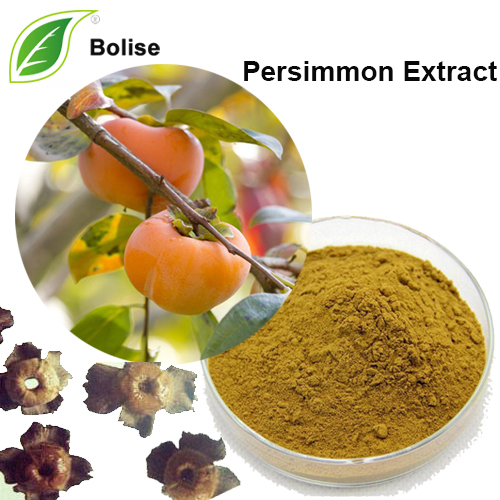 Persimmon Calyx Extract (Calyx Kaki Extract)