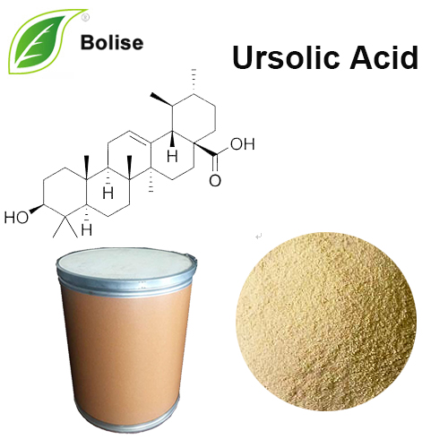 Kyselina ursolová (výťažok z listu miquatu, extrakt z lesklej bradavice)
