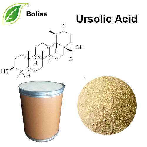 Ursolic Acid (ສານສະກັດຈາກໃບ Loquat, ສານສະກັດຈາກໃບເຫຼື້ອມເປັນເງົາ)