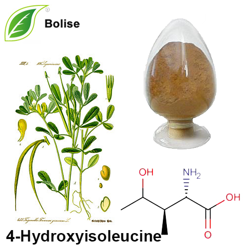 4-Hidroksiisoleusin