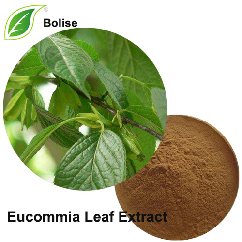 Extract de frunze de eucomie