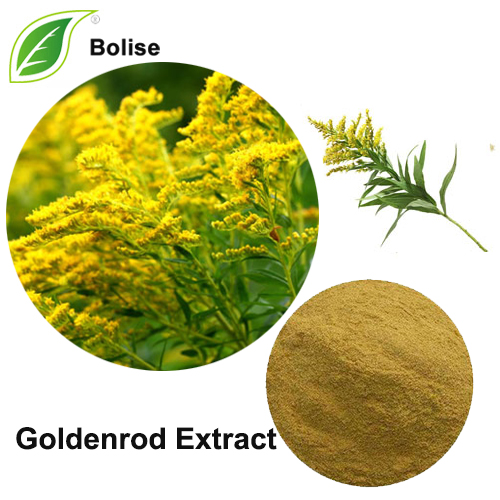 Goldenrod քաղվածք