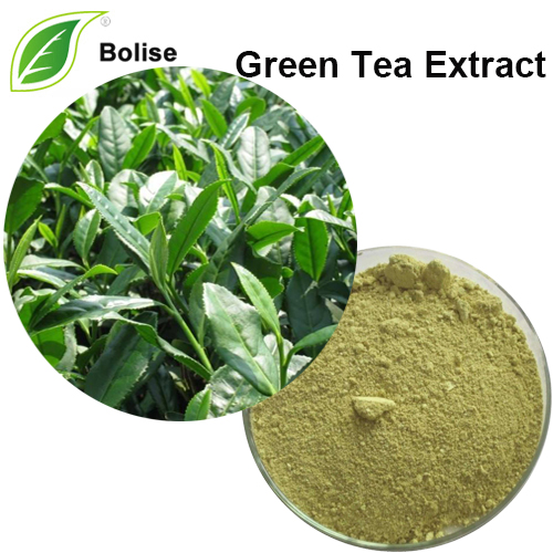 Tørr ekstrakt av grønn te