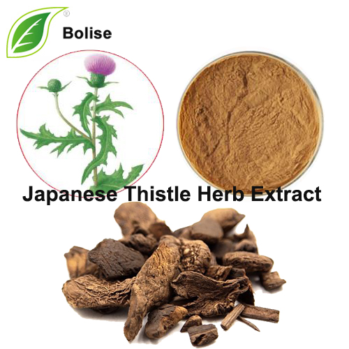 Japanese Thistle Herb Extract (Japanese Thistle Root Extract)