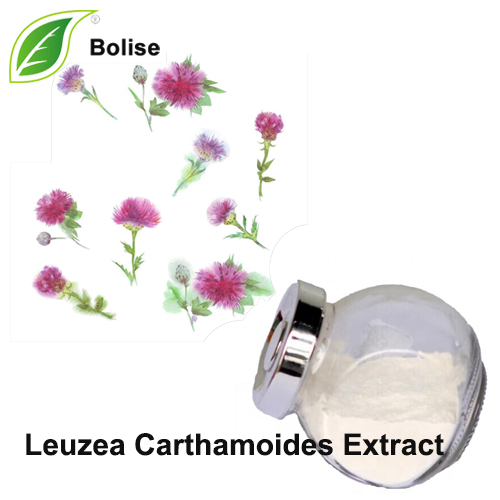 Extrakt z Leuzea Carthamoides