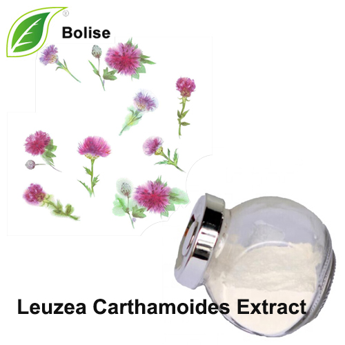 Extrait de Leuzea Carthamoides