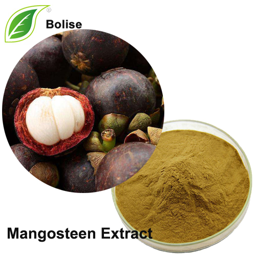 Mangosteen erauzketa