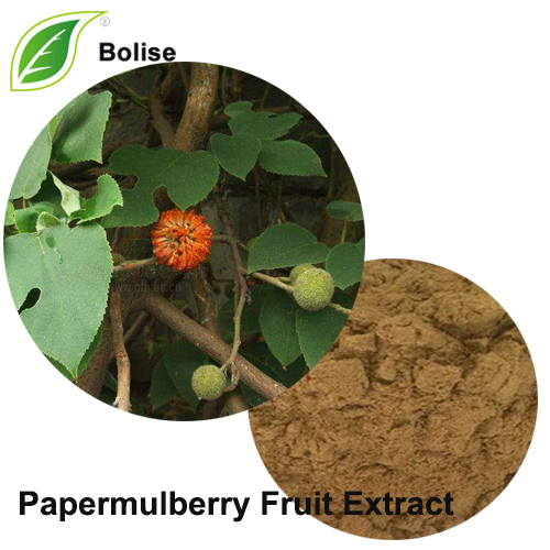 Papermulberry-vrugte-uittreksel (Uittreksel Fructus Broussonetae)