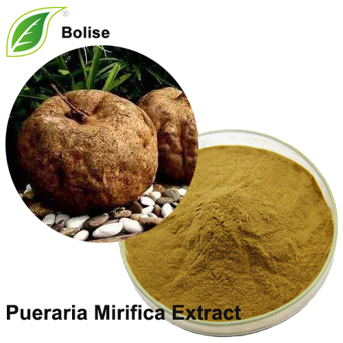 Extrato de Pueraria Mirifica (extrato de Kwao Kreu Kao)