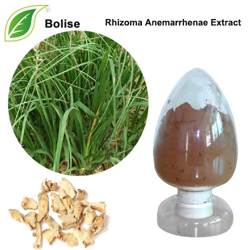 Rhizoma anemarrhenae ханд (нийтлэг анемаррена үндэслэг иш)