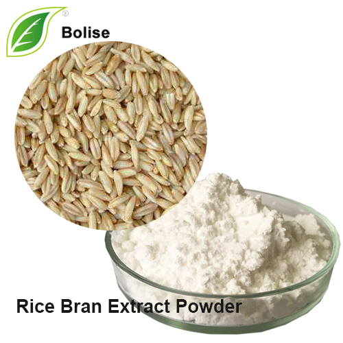 Rice Bran Extract Pulver