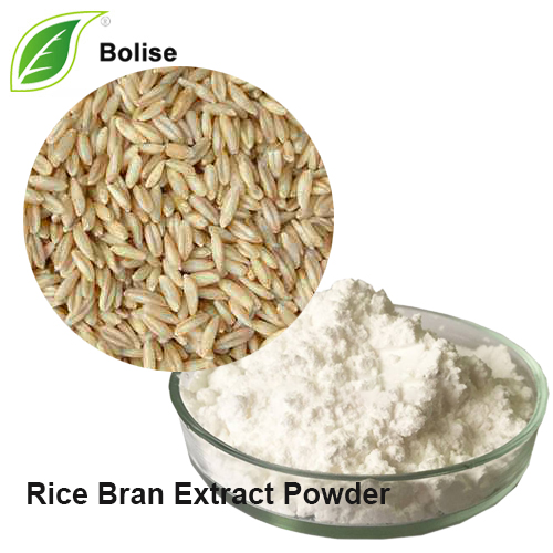 Powdwr Detholiad Rice Bran