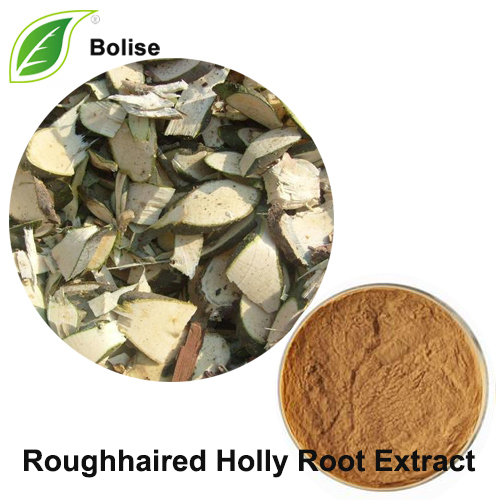 Roughhair Holly Root Extract