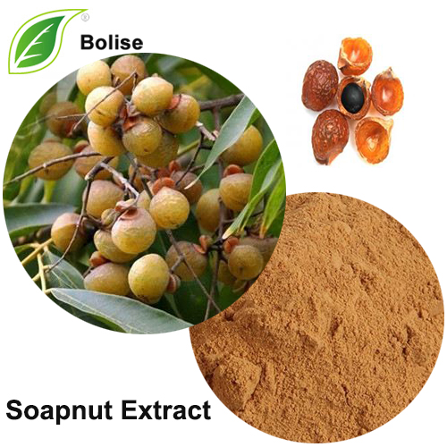 Soapnut Extract (Soapberry Extract)
