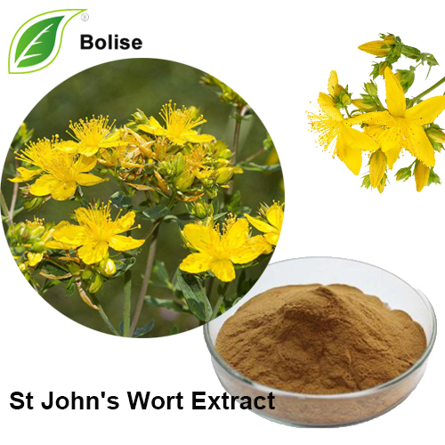 St John's Wort Özü