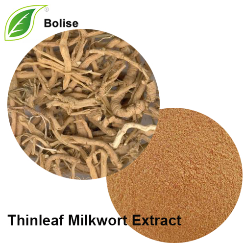 Ekstrakt Thinleaf Milkwort