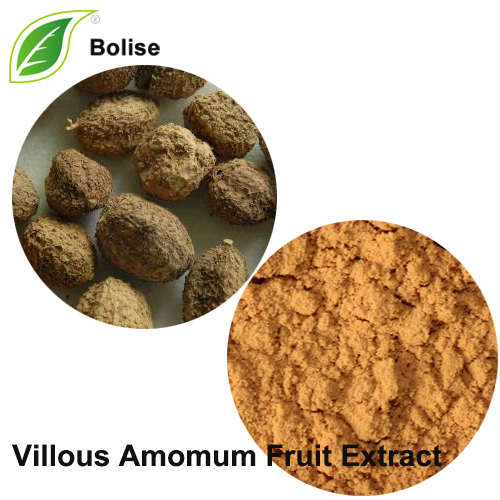 Villous Amomum Fruit Extract (Fructus Amomi Extract)