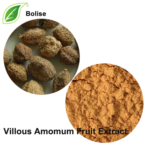 Villous Amomum ხილის ექსტრაქტი (Fructus Amomi Extract)