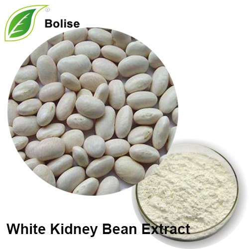Putih Kidney Bean Extract