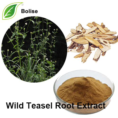 Wild Teasel Root Extract