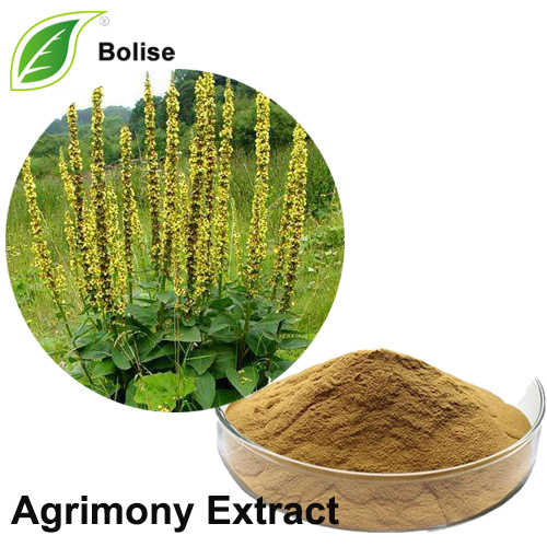 Agrimon Extract