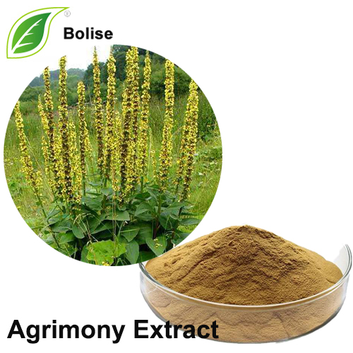 Agrimony Extract