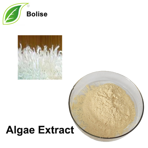 Ekstrakt algi (ekstrakt morskih algi)