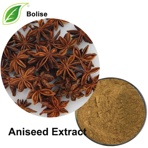 Detholiad Aniseed