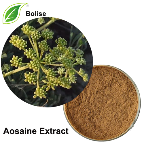 Aosaine Extract