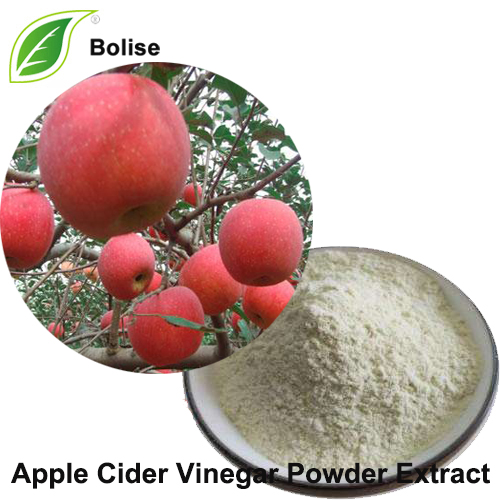 Apple Cider Vinegar Powder Extract