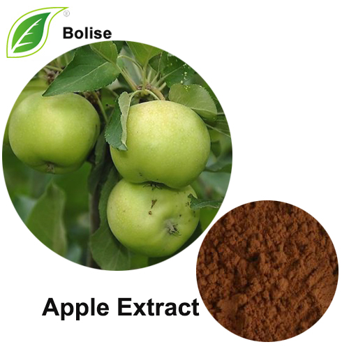 Apple Extract