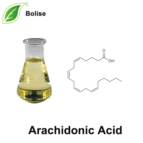 花生四烯酸
