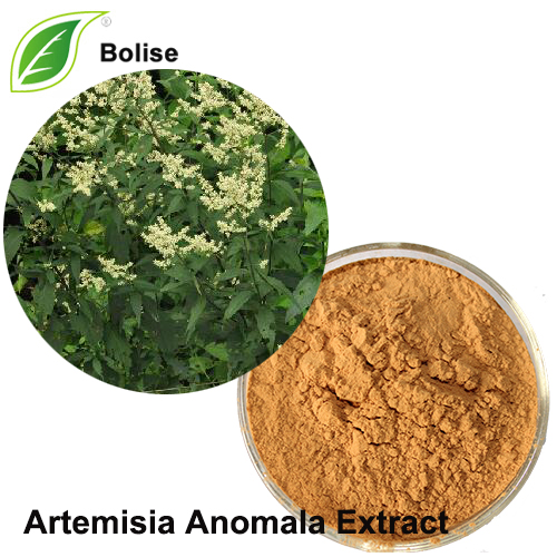 Ekstrak Artemisia Anomala