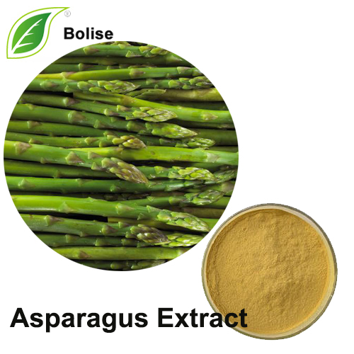 Ekstrak Asparagus