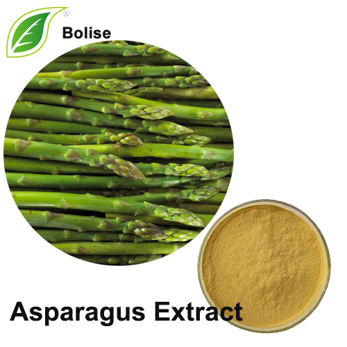 Asparagus Extract Asparagus Extract