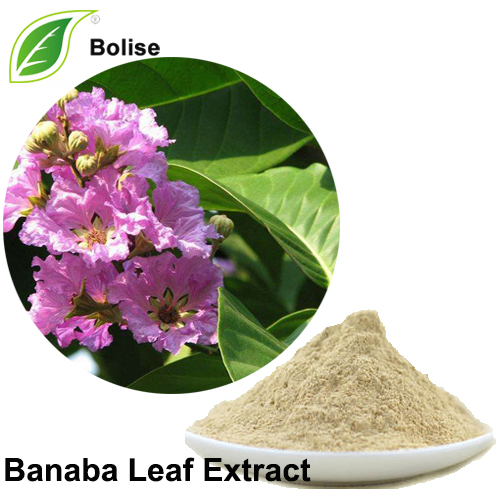 Extracto de hoja de Banaba