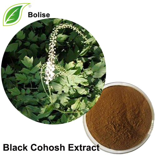 ສານສະກັດ Cohosh ສີດໍາ