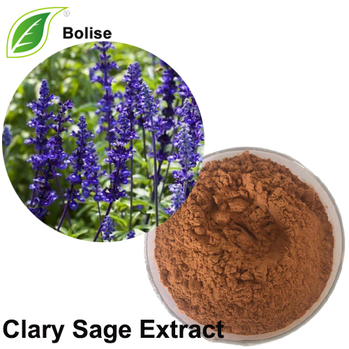 Ekstrak Clary Sage