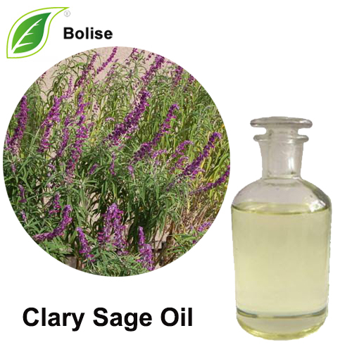 Clary Sage lwil oliv