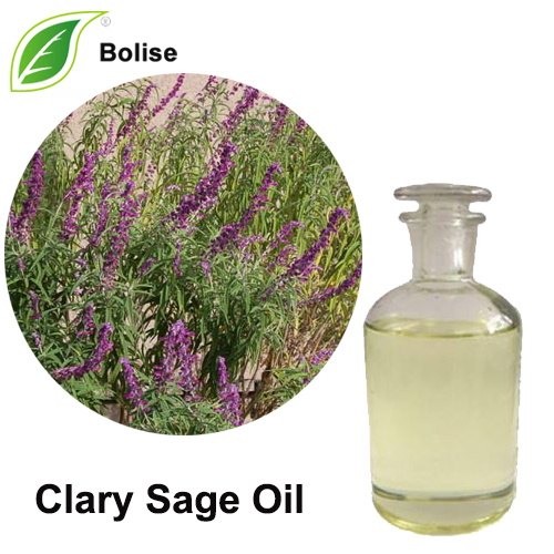 Clary Sage Oil Clary Sage Oil