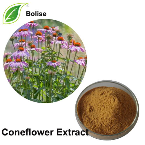 Coneflower ekstrakt