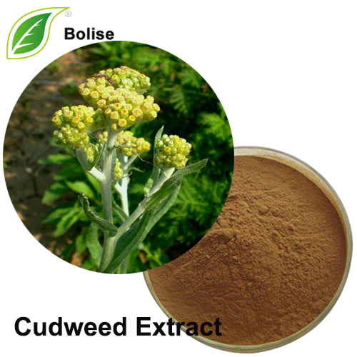 Cudweed-extract