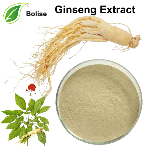 Kikiaga Ginseng