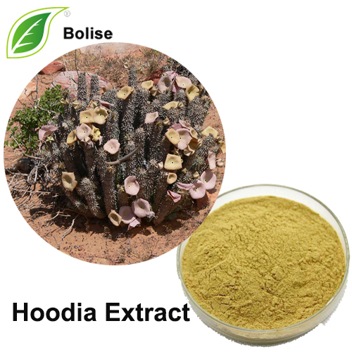 Hoodia Extract (Hoodia Gordonii Extract)