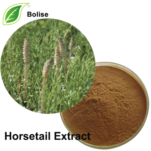 Horsetail Extract