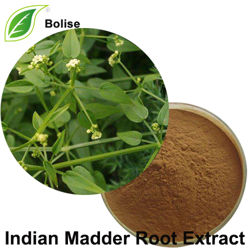 Indian Madder Root Extrakt