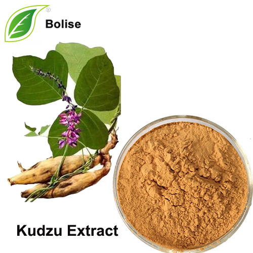 Kudzu extrakt (Puerariae Extract)