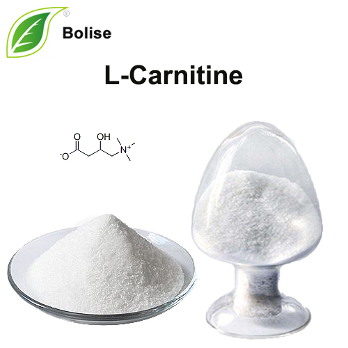 L-Carnitin